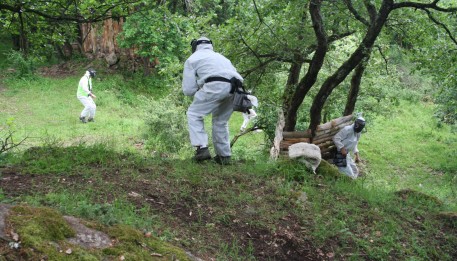 paintball en auvergne